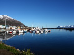 28.04.2026 Dalvík – Norðurgarður, raforkuvirki 2026