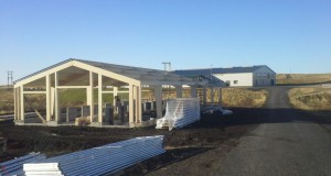 Ný hesthúsabyggð við Gaddstaðaflatir