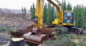 Framkvæmdir hafnar í Laugarvatnsskógi