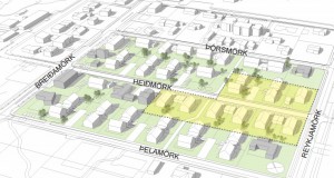 Bygginga- og mannvirkjafulltrúi óskast