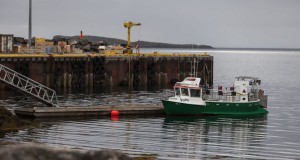 Samgöngur við Vesturbyggð: Stækka þarf höfnina á Brjánslæk