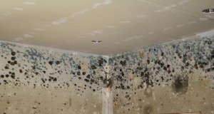 Meiri kostnaður en vegna tveggja jarðskjálfta