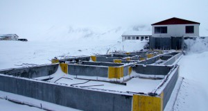 Framkvæmdir við tvöföldun gistihússins að Langaholti