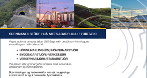Spennandi störf hjá metnaðarfullu fyrirtæki LNS Saga