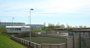 20.04.2016 Gervigras 2016 – Reykjavíkurborg