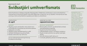 Sviðsstjóri umhverfismats