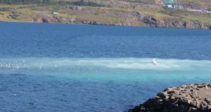 Ný hreinsistöð fyrir skólp á Akureyri við Sandgerðisbót