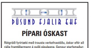 Pípari óskast til starfa