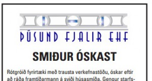 Smiður óskast til starfa
