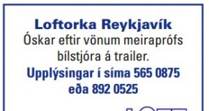 Vanur meiraprófsbílstjóri óskast til starfa