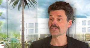 Reykjavíkurborg ætlar að greiða 140 milljónir fyrir tvö pálmatré – „Er borgarmeirihlutinn að tapa sér?“