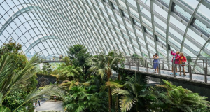 Vilja reisa gróðurhvelfingu við Löngugróf