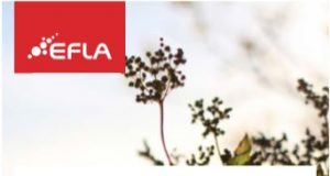 08.04.2019 Sveitafélagið Árborg. Uppbygging og rekstur ljósleiðarkerfis