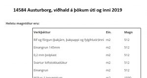 02.07.2019 Austurborg, viðhald á þökum úti og inni 2019