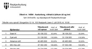 Opnun útboðs: Austurborg, viðhald á þökum úti og inni