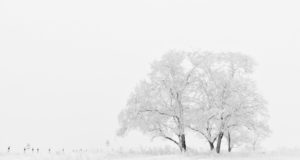 07.02.2020 Dalvíkurbyggð. Snjómokstur og hálkuvarnir fyrir árin 2020-2023