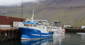 Suðureyrarhöfn : Endurbyging vesturkants