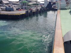 10.03.2026 Vestmannaeyjar – Gjábakki þekja og lagnir 2026