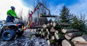 Tré víkja fyrir parhúsum við Vatnsenda