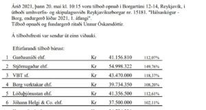 Opnun útboðs: Hálsaskógur -Borg, endurgerð lóðar 2021, 1. áfangi