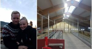 Fæstir bændur sammála hvernig draumafjósið lítur út