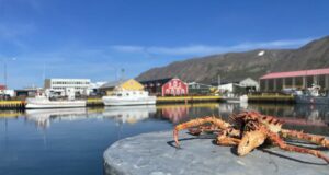 Áform um 12 metra hátt hús á Siglufirði valda ósætti