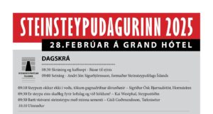 Steinsteypudagur næsta föstudag, 28. febrúar.