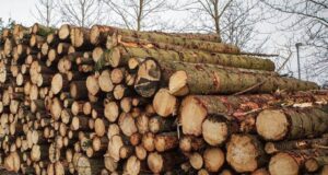 Brautin gæti opnast á miðnætti