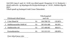 Opnun útboðs: Malbiksviðgerðir 2025 í Reykjavíkurborg