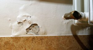 Fá ekki frekari bætur þrátt fyrir galla og myglu