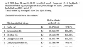 Opnun útboðs: Endurgerð hraðahindrana 2025 – útboð 1