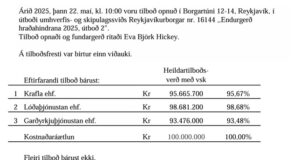 Opnun útboðs: Endurgerð hraðahindrana 2025, útboð 2
