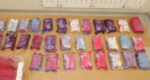 Full íbúð af hassi í málningarfötum