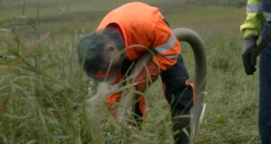 Úrgangur úr rotþróm græðir upp land en blautþurrkur þvælast fyrir