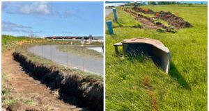 Vilja klára að friðlýsa Laugarnesið