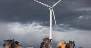 Vilja reisa 167,5 m háar vindmyllur