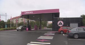 Vilja reisa stúdentagarða við Birkimel