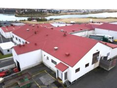 SS ætlar að stækka sláturhúsið