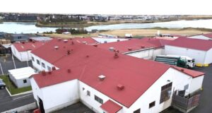 SS ætlar að stækka sláturhúsið