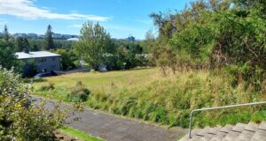 Vilja minnismerki um Gunnar í stað nýs einbýlishúss