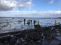 21.10.2025 Hvalfjarðarsveit – Belgsholt, sjóvörn 2025