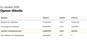 Opnun útboðs: Vatnsleysuströnd, sjóvarnir 2025