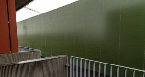 Rannsakar græna gímaldið fræðilega