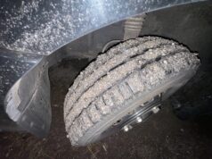 Hafa áhyggjur af bikblæðingum á Austfjörðum