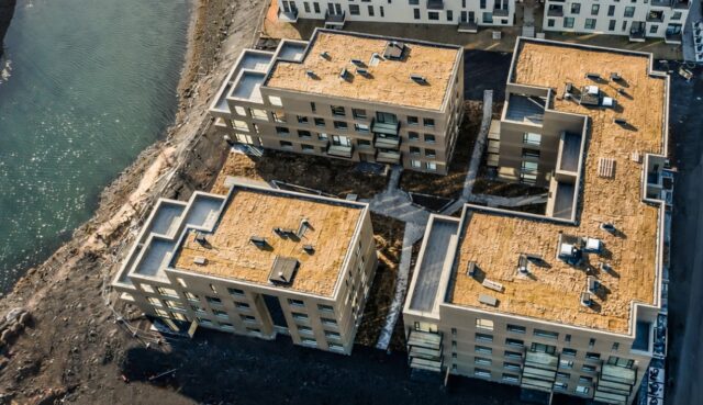 05.02.2026 Stefnisvogur