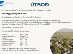 11.03.2026 Grímsnes- og Grafningshreppur. Vesturbyggð Skógartún 2026