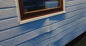 Kaupendur vinna enn eitt Canexel-málið